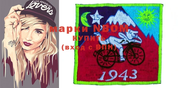 хмурый Алзамай