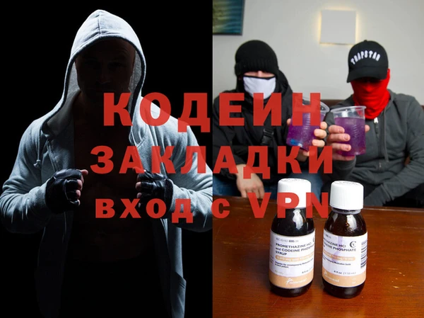 хмурый Арсеньев