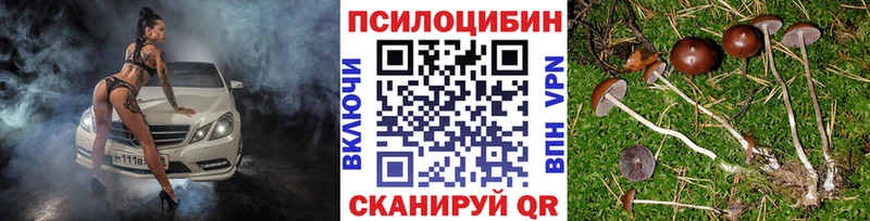 omg вход  Жигулёвск  Галлюциногенные грибы ЛСД 